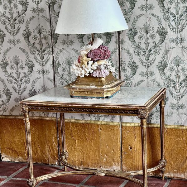 Shell & coral lamp on gilt base