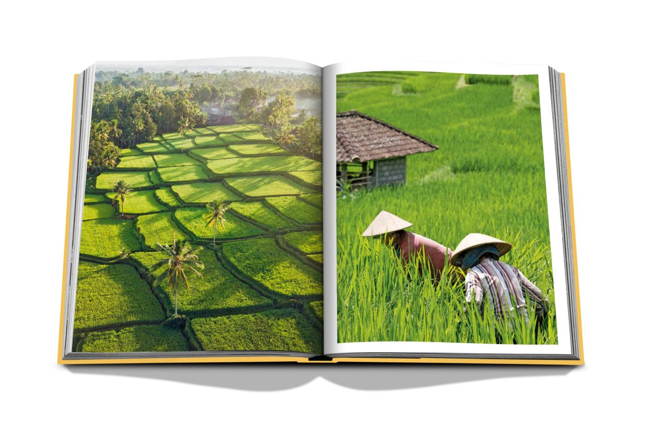 Bali_Spread_8