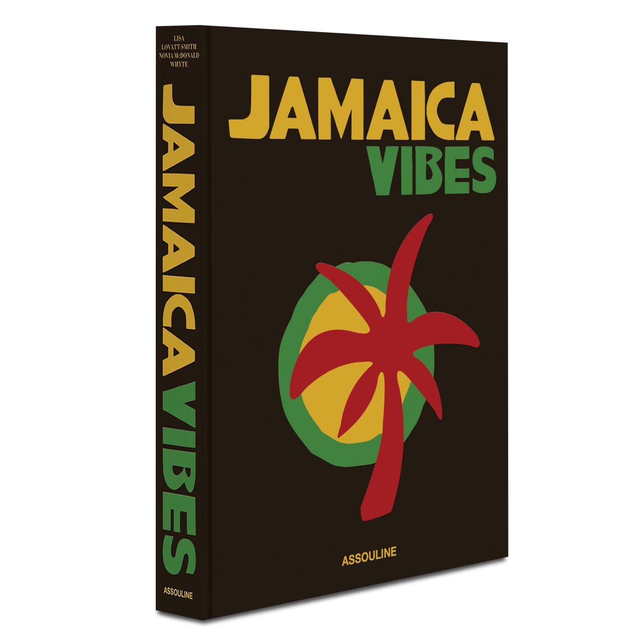 JamiaicaVibes-Book-3D-Front