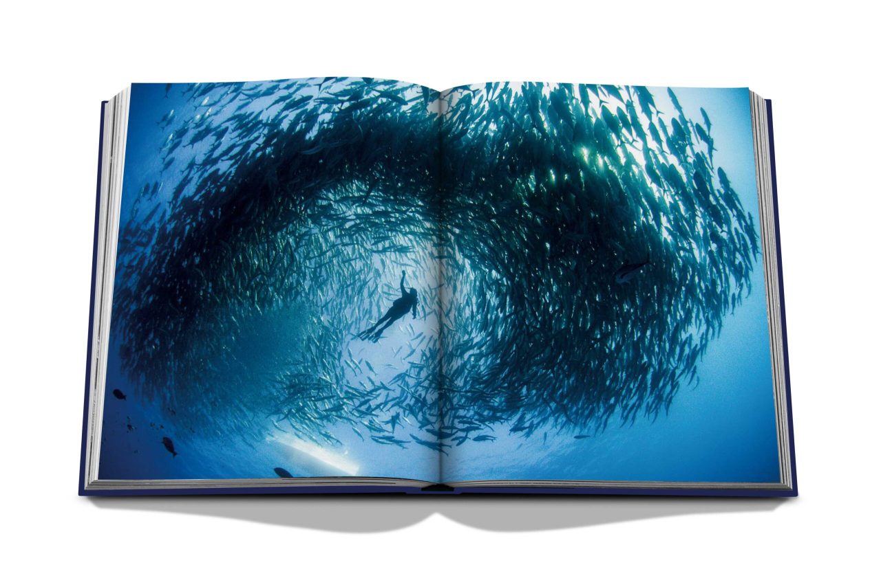 OceanWanderlust_SPREAD_7
