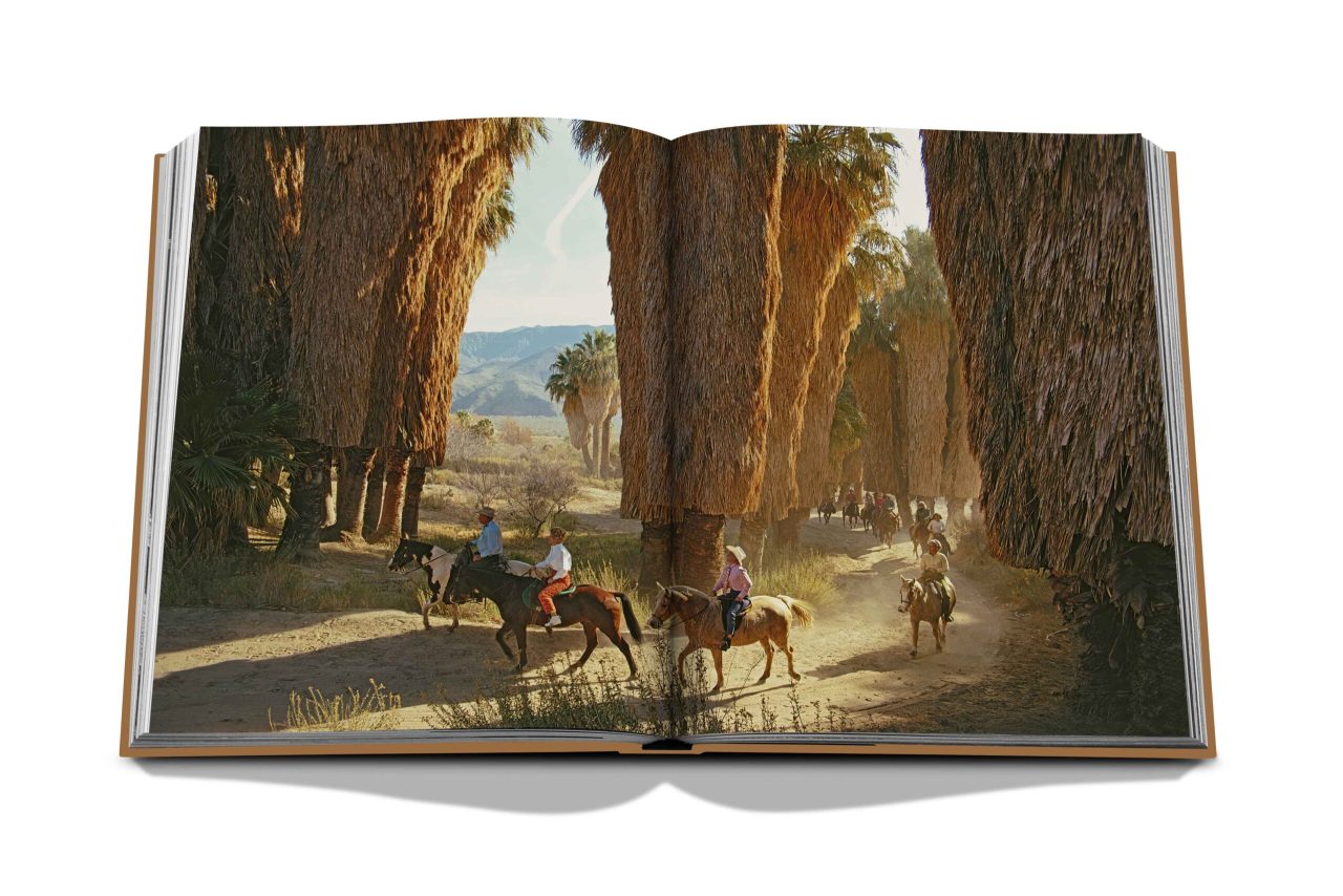 PALMSPRINGS_SPREAD_7
