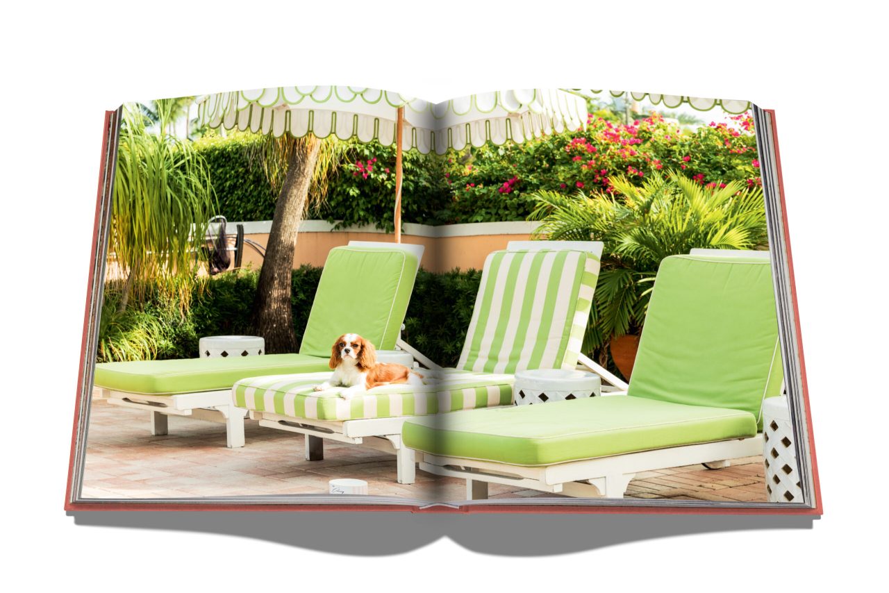 Palm Beach - Spread5