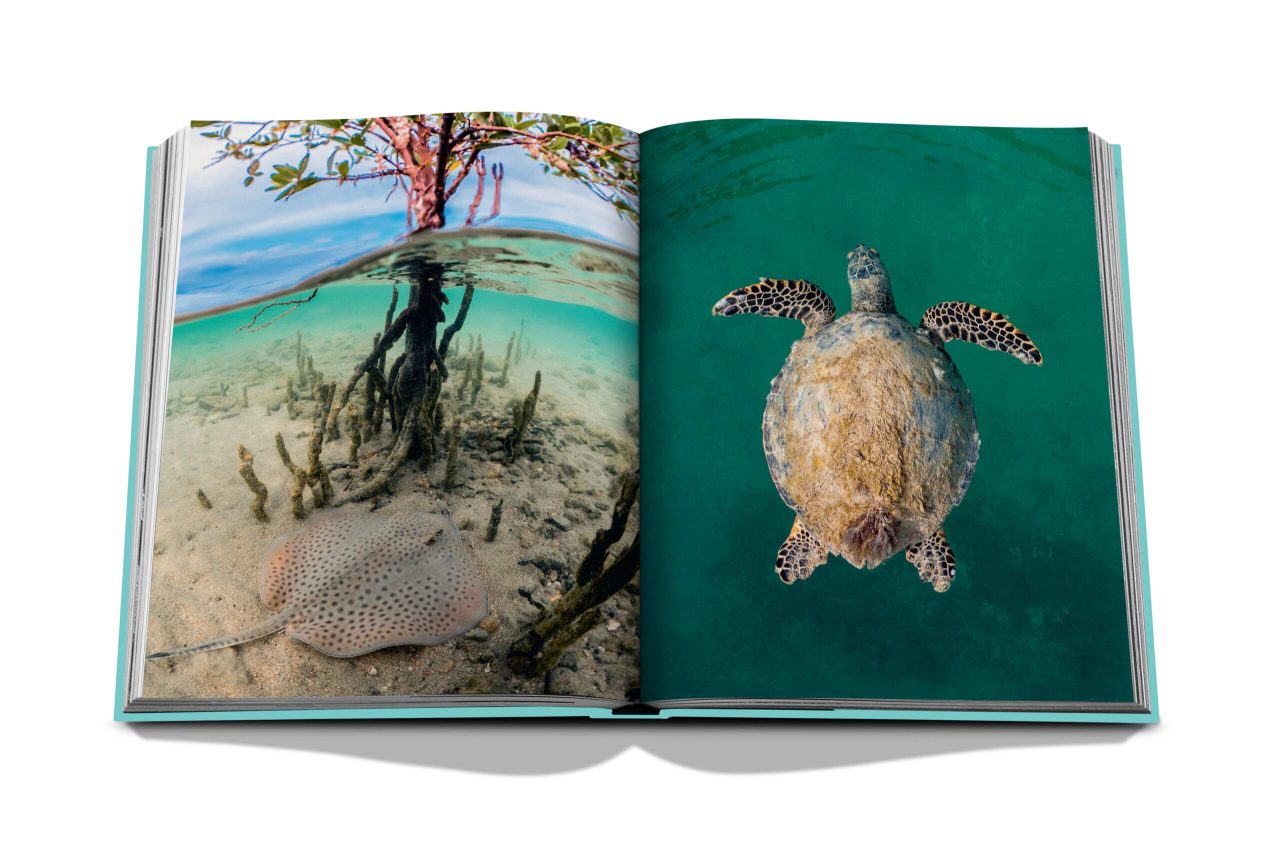 RED-SEA_SPREAD_8
