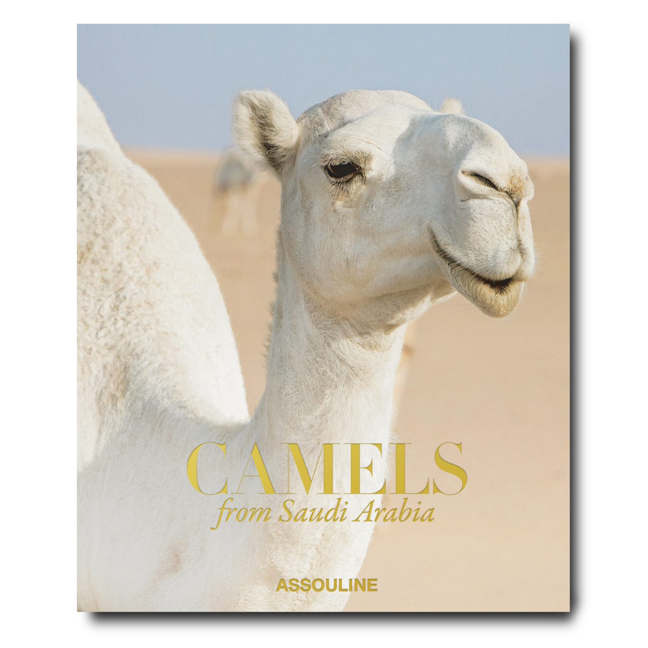 SACamels-Clamshell-Flat-FRONT