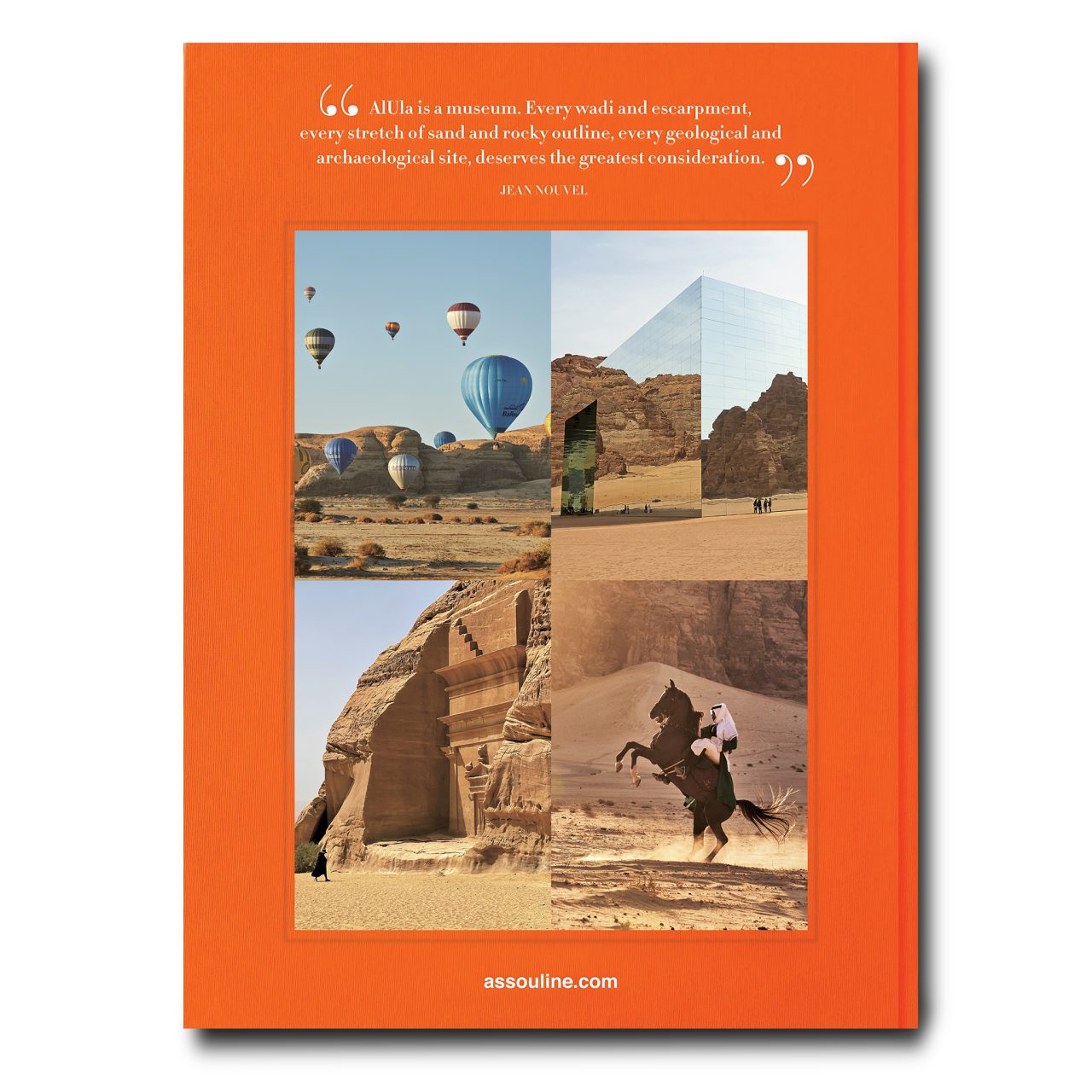alulaever-Cover-Flat-BACK-copy